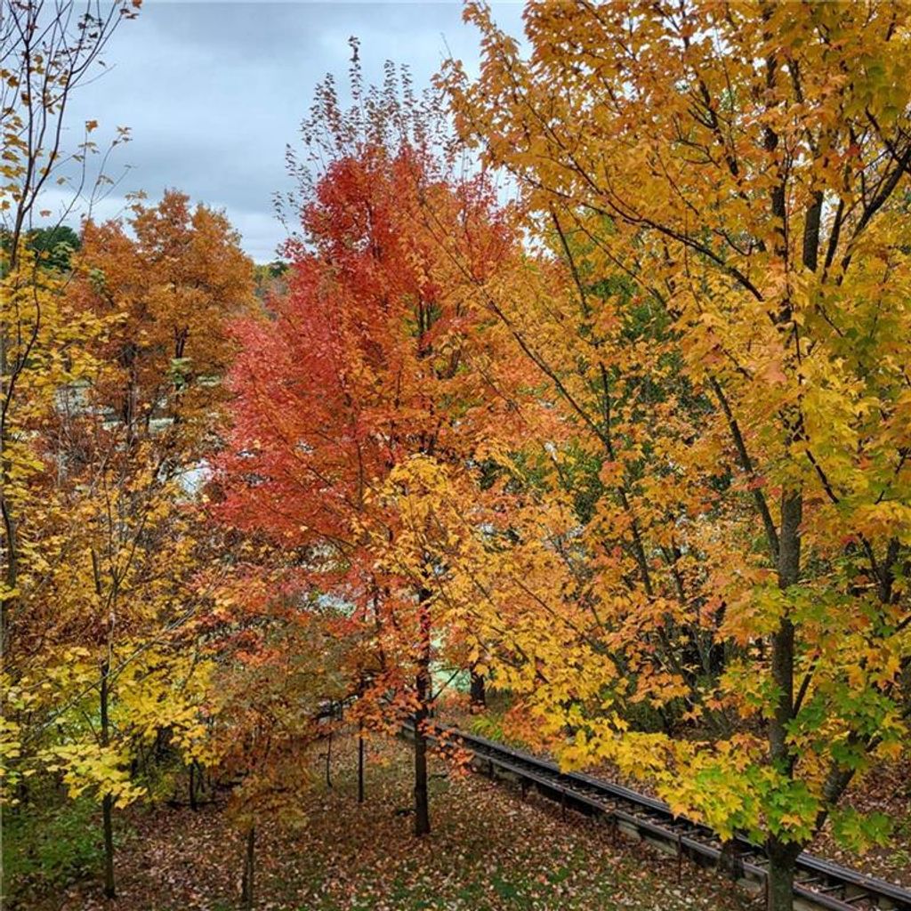 Photo of 1182 24 3/4 STREET, Chetek, WI 54728 (MLS # 1596192)