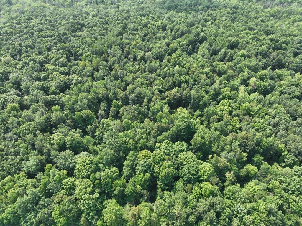 Photo of Lot 14 Burma ROAD, Mosinee, WI 54455 (MLS # 22603972)