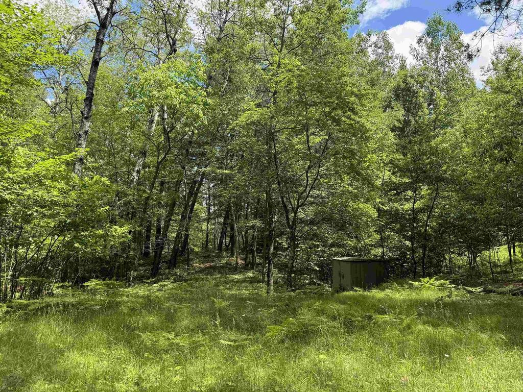 Photo of 11674 Sherwood LANE, Woodruff, WI 54568 (MLS # 22601436)