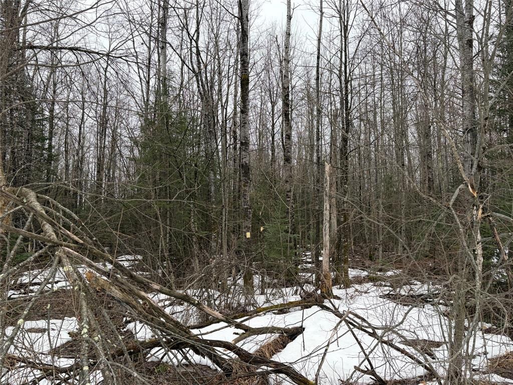 Photo of ON Hofer Road, Couderay, WI 54828 (MLS # 1599291)