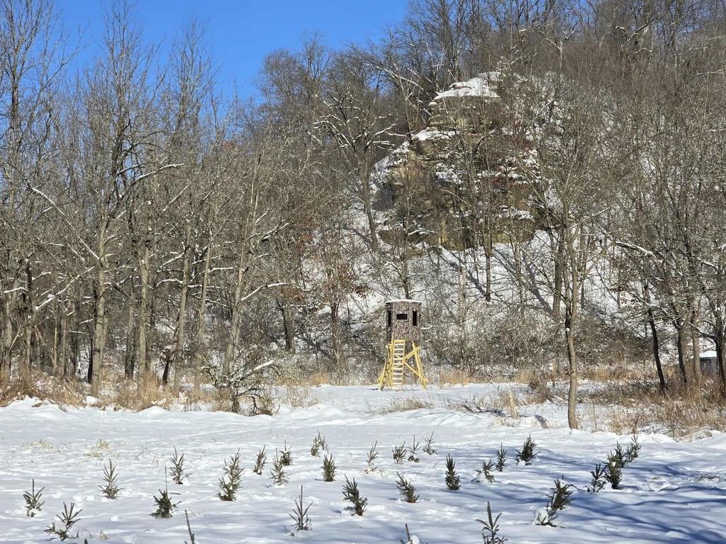 Photo of 190.81 acres Deere Path LANE, Richland Center, WI 53581 (MLS # 2013463)