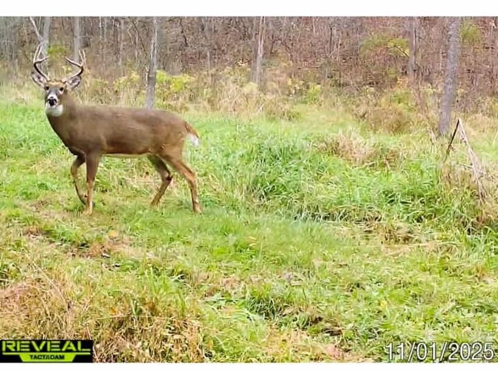 Photo of 190.81 acres Deere Path LANE, Richland Center, WI 53581 (MLS # 2013463)