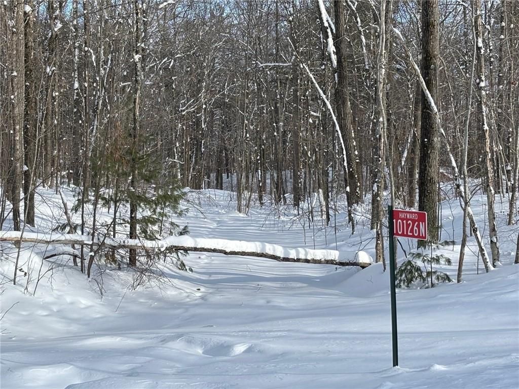 Photo of 10126N Hardwood Hills DRIVE, Hayward, WI 54843 (MLS # 1597945)