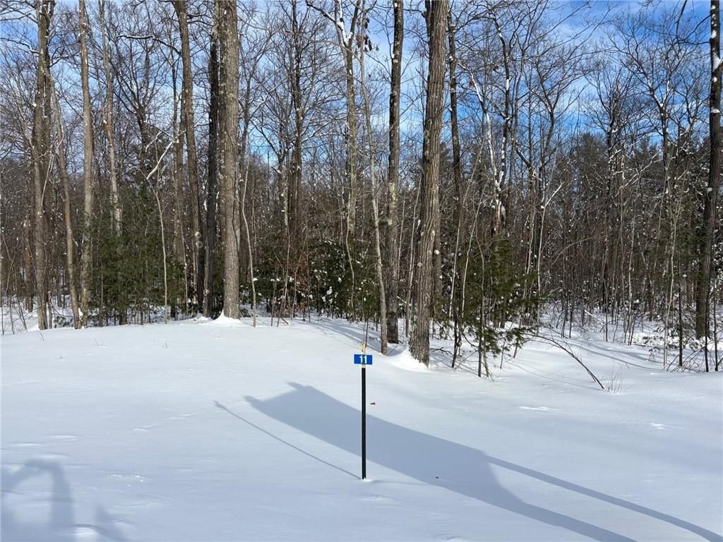 Photo of 10126N Hardwood Hills DRIVE, Hayward, WI 54843 (MLS # 1597945)