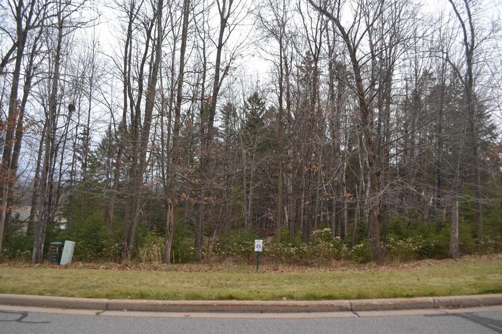 Photo of Lot #25 Deer Tail LANE, Wausau, WI 54401 (MLS # 22600225)