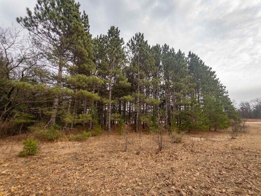 Photo of 2ac Cree ROAD, Coloma, WI 54930 (MLS # 2019902)