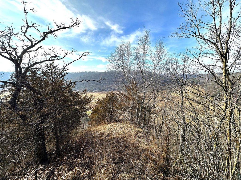 Photo of 68.73 +/- acres S Sleepy Hollow ROAD, Gays Mills, WI 54631 (MLS # 2014643)