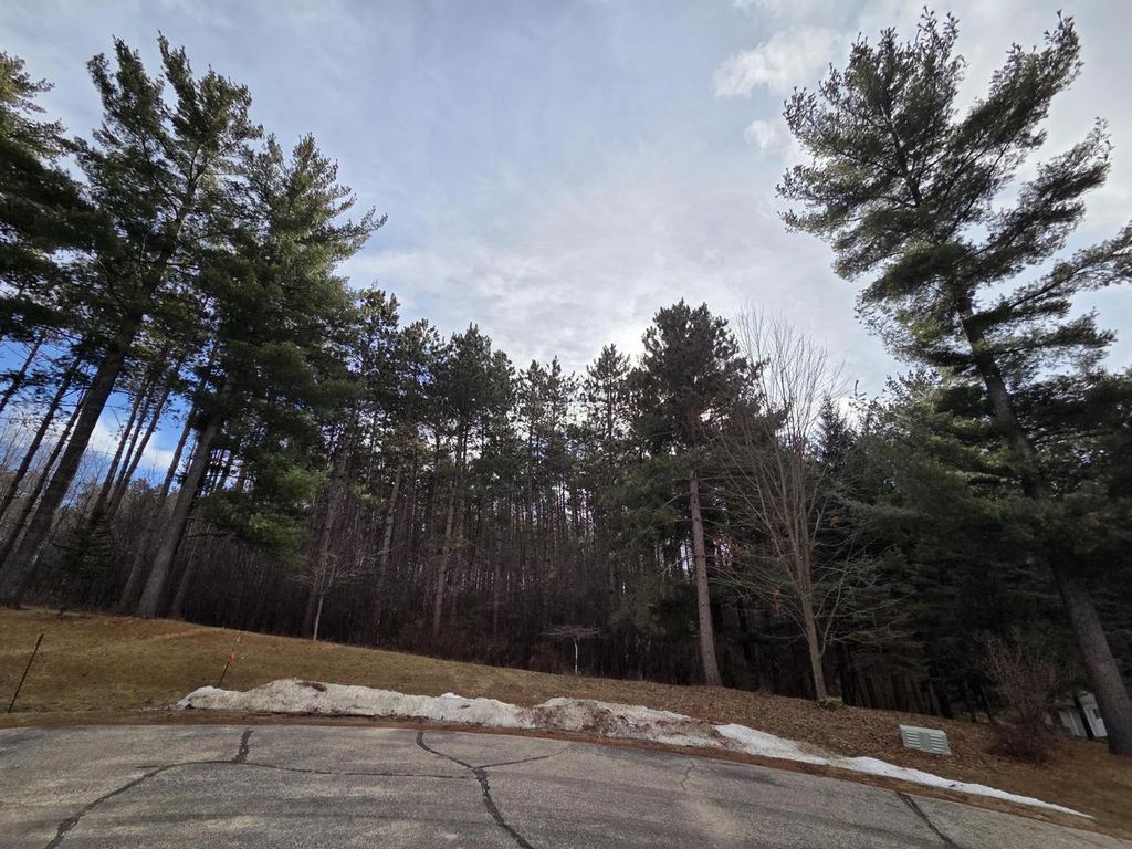 Photo of Lot 11 Ptarmigan DRIVE, Pardeeville, WI 53954 (MLS # 2016789)