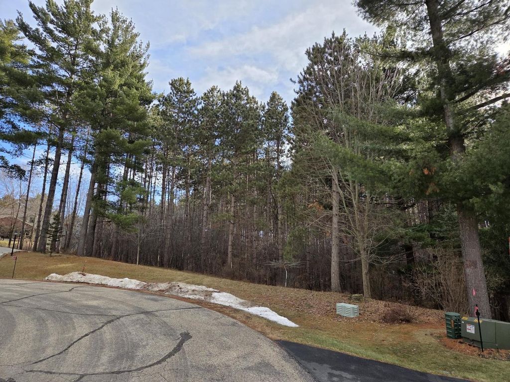 Photo of Lot 11 Ptarmigan DRIVE, Pardeeville, WI 53954 (MLS # 2016789)