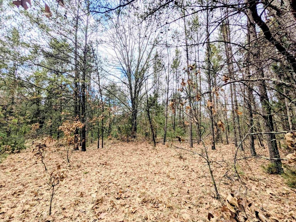 Photo of 0 Fawn DRIVE, Grand Marsh, WI 53936 (MLS # 2018420)