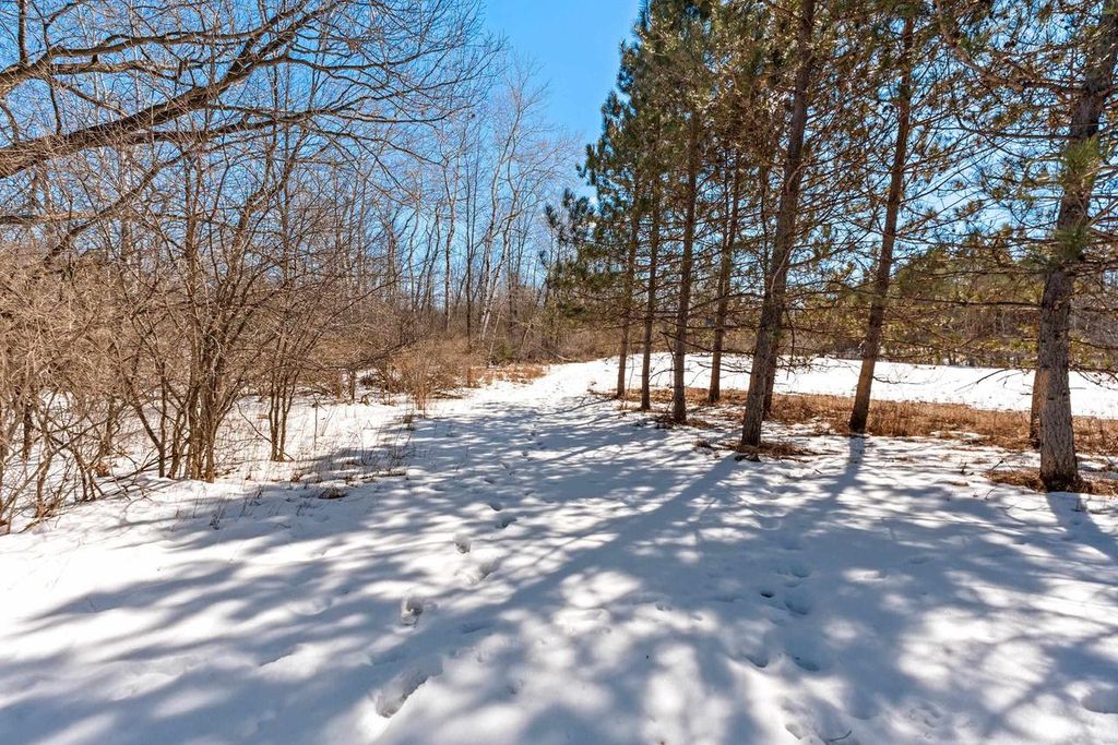 Photo of 0 Menge ROAD, Tigerton, WI 54486 (MLS # 2019417)