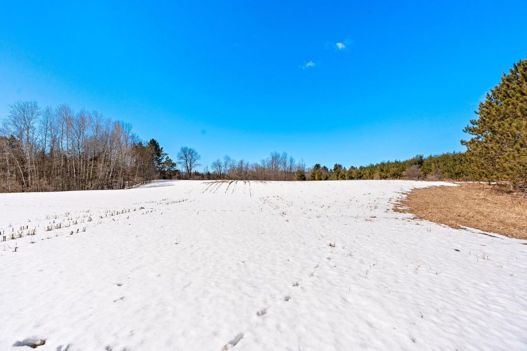 Photo of 0 Menge ROAD, Tigerton, WI 54486 (MLS # 2019417)
