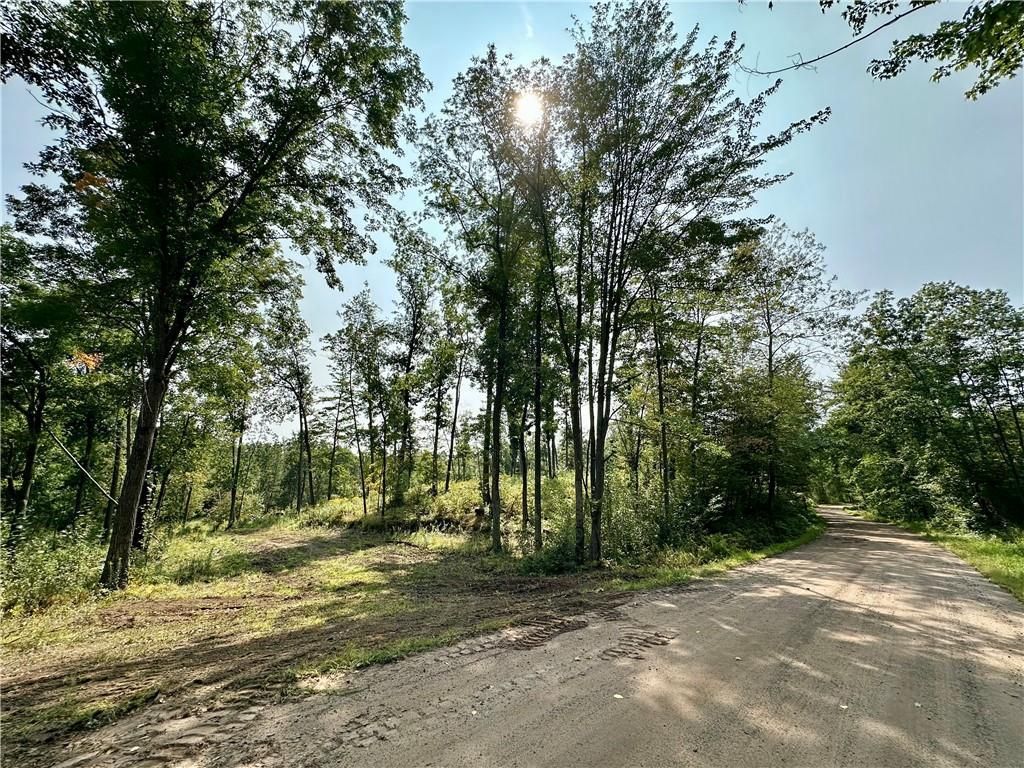 Photo of 16.43 Acres Antler Lake DRIVE, Milltown, WI 54858 (MLS # 1595999)