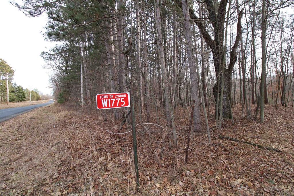 Photo of W1775 Dees ROAD, Lyndon Station, WI 53944 (MLS # 2016950)