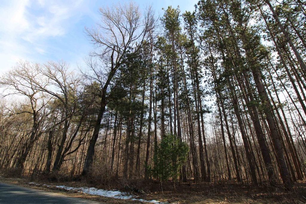 Photo of W1775 Dees ROAD, Lyndon Station, WI 53944 (MLS # 2016950)