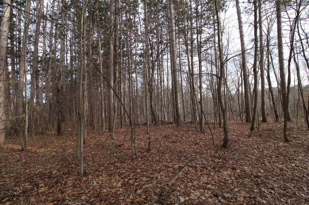 Photo of W1775 Dees ROAD, Lyndon Station, WI 53944 (MLS # 2016950)