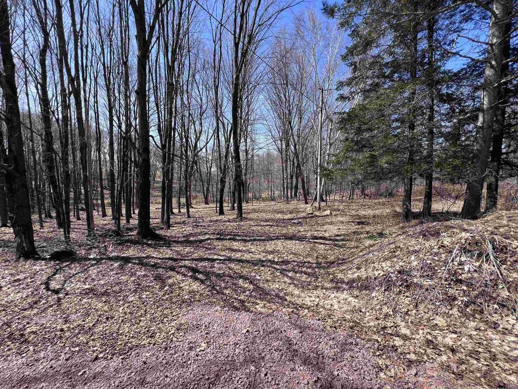 Photo of Canyon ROAD, Wausau, WI 54403 (MLS # 22601449)