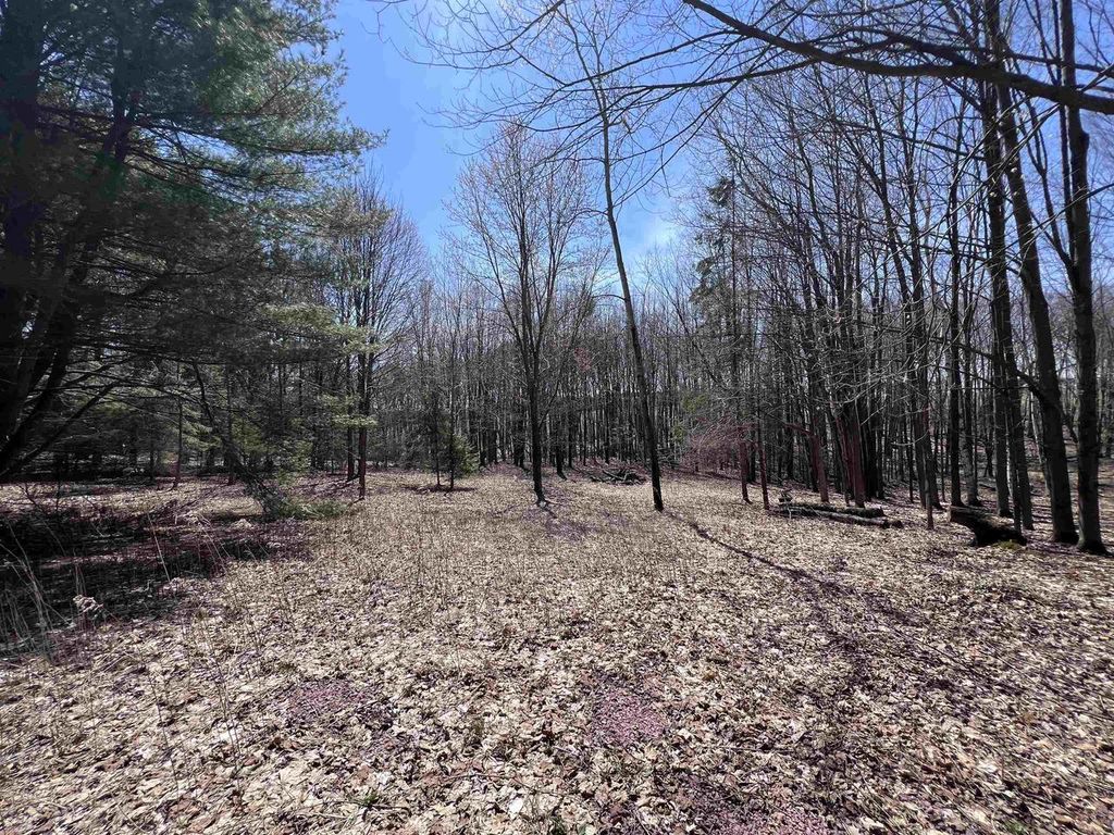 Photo of Canyon ROAD, Wausau, WI 54403 (MLS # 22601449)