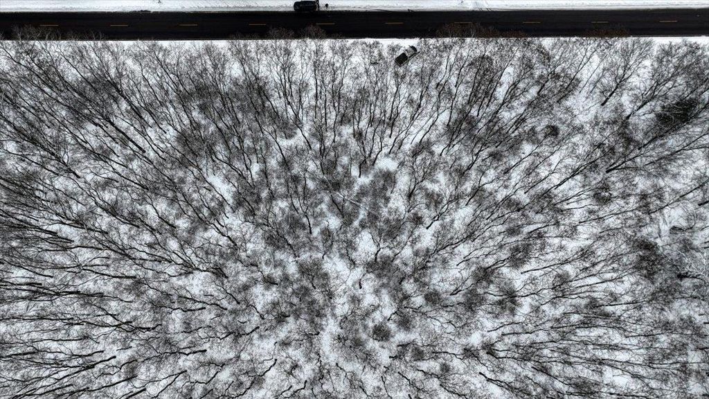 Photo of Lots 11 &amp; 14 County Road A, Grand Marsh, WI 53936 (MLS # 2013488)