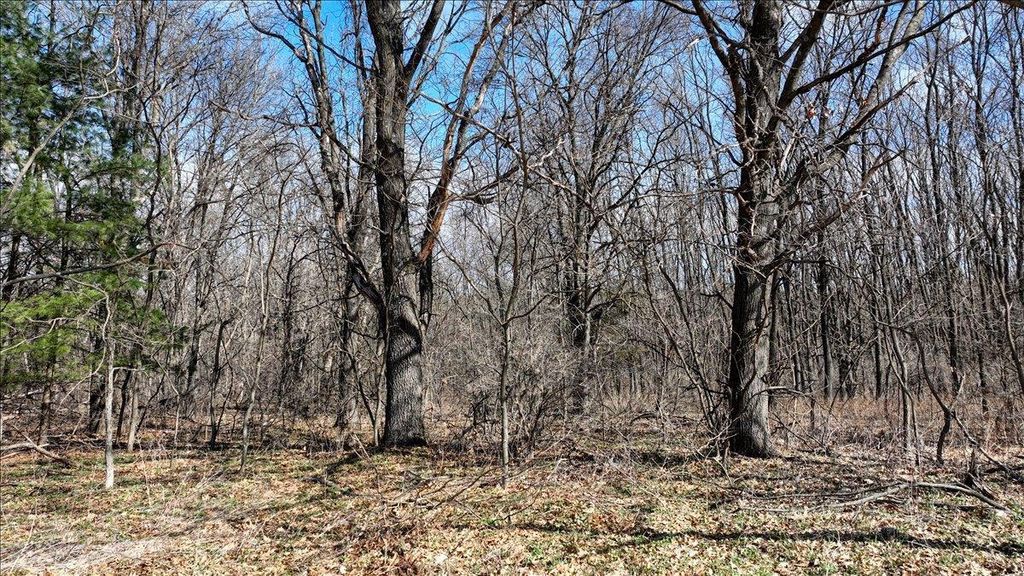 Photo of 12.96 Acres County Road A, Grand Marsh, WI 53936 (MLS # 2013488)