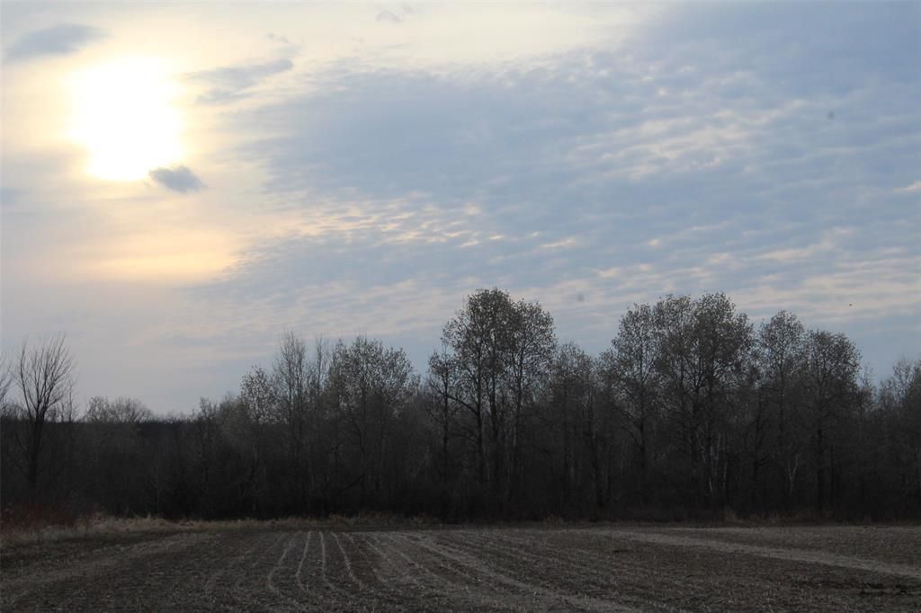 Photo of 1563 Helena DRIVE, Holcombe, WI 54731 (MLS # 1599546)
