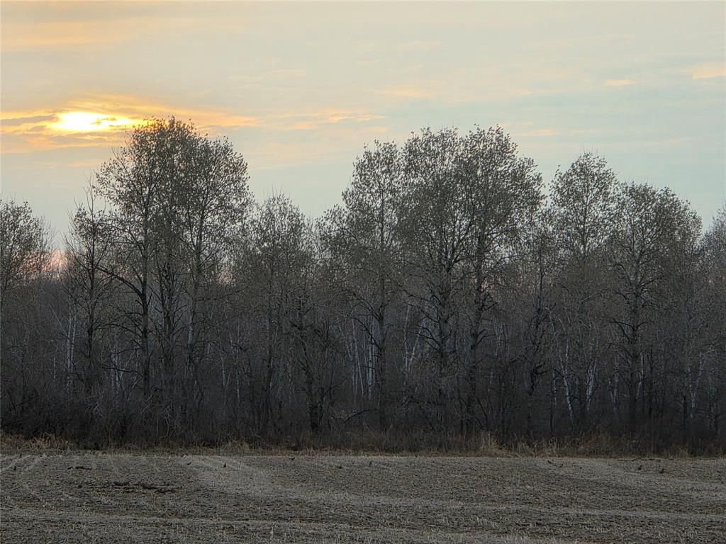 Photo of 1563 Helena DRIVE, Holcombe, WI 54731 (MLS # 1599546)