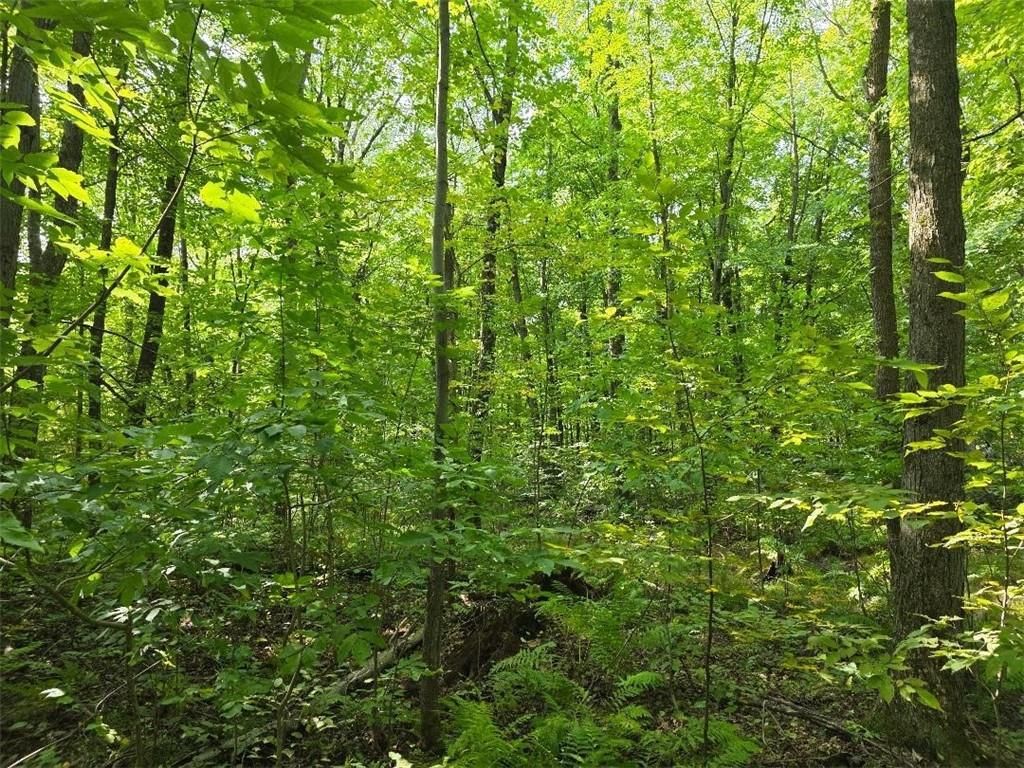 Photo of 00 30th, Cumberland, WI 54829 (MLS # 1595353)