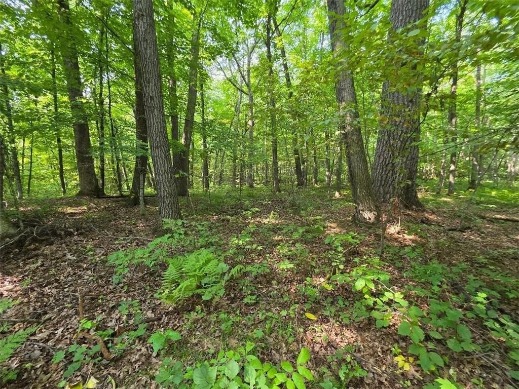 Photo of 00 30th, Cumberland, WI 54829 (MLS # 1595353)