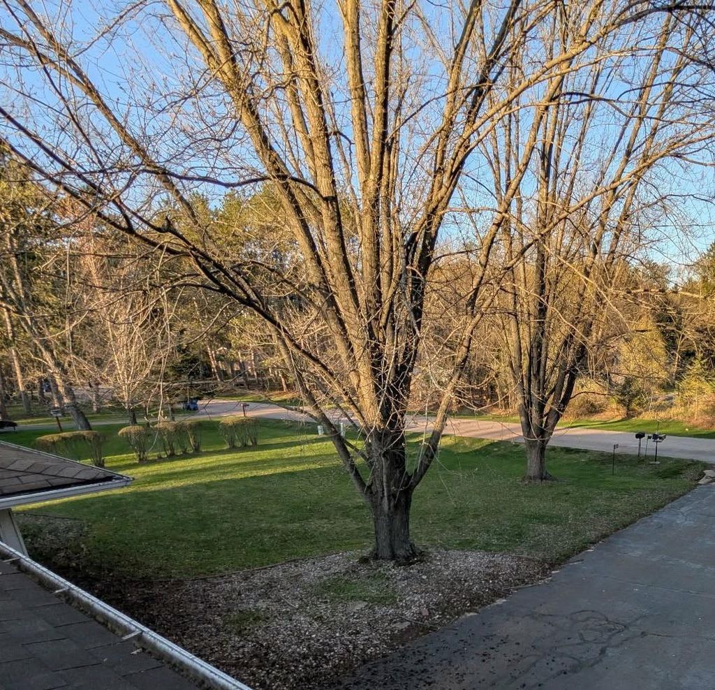Photo of N2621 Woodland CIRCLE, Waupaca, WI 54981 (MLS # 50324362)