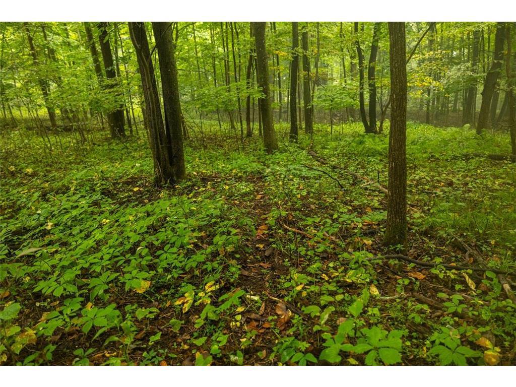 Photo of 0 110th STREET, Spring Valley, WI 54767 (MLS # 7140520)