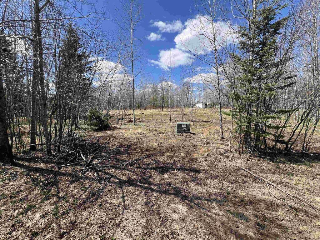 Photo of Dream Lake ROAD, Tipler, WI 54542 (MLS # 50326551)