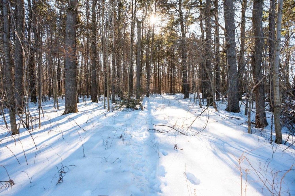 Photo of 0 County Road FF ROAD, Merrill, WI 54452 (MLS # 2016553)