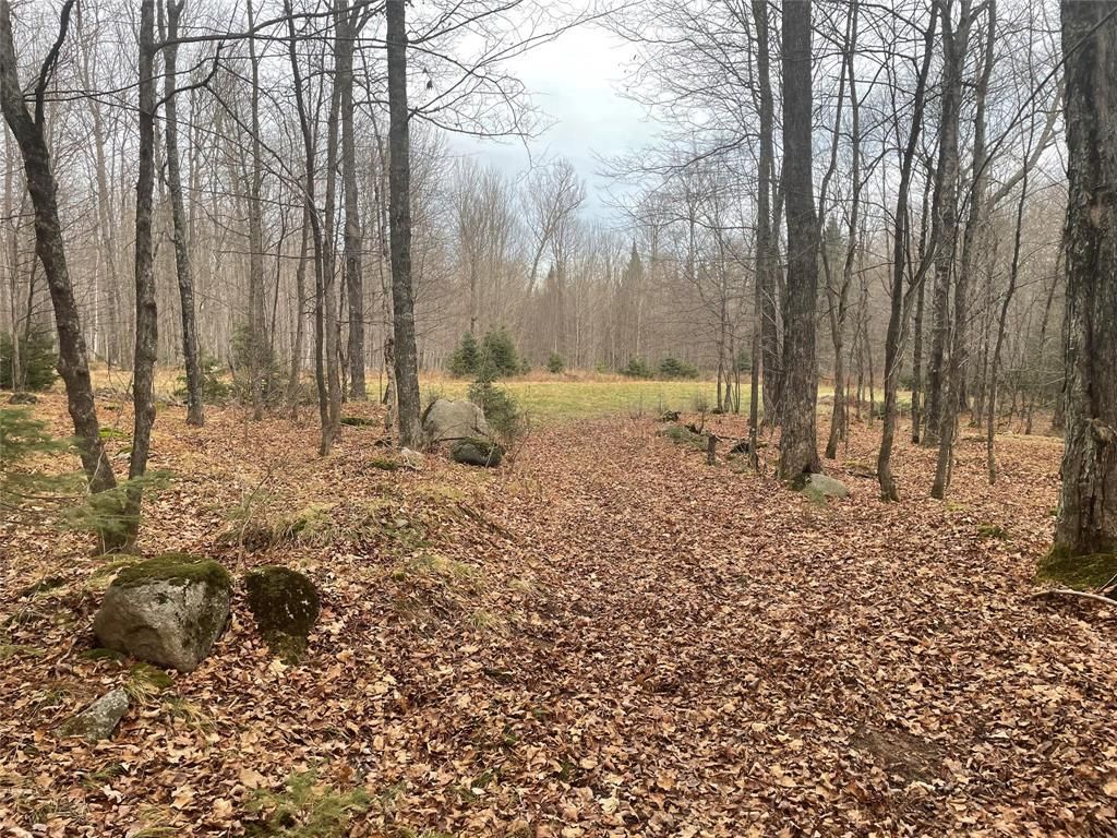 Photo of 80+/- Acres Off South Park ROAD, Butternut, WI 54514 (MLS # 1600524)