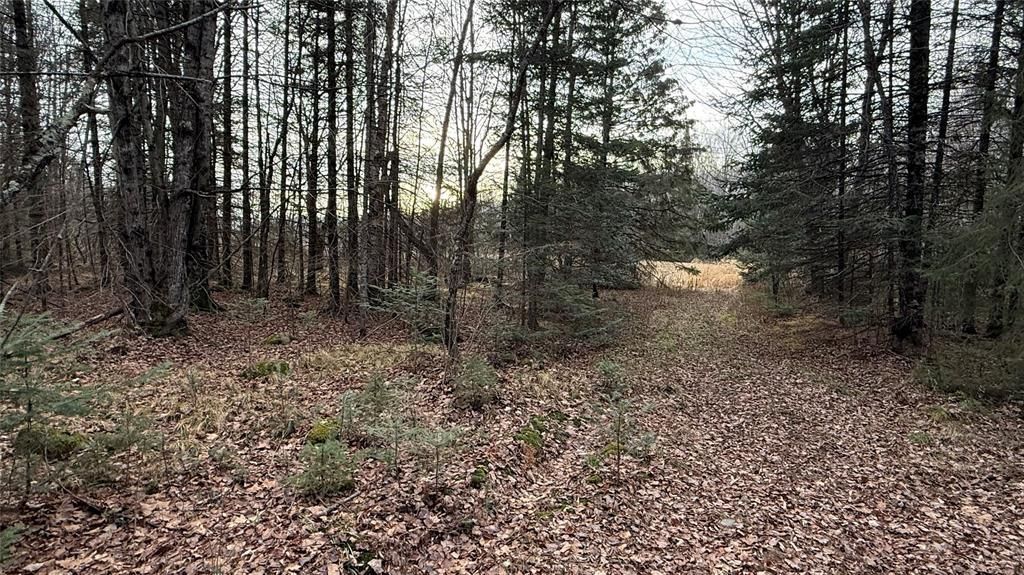 Photo of 80+/- Acres Off South Park ROAD, Butternut, WI 54514 (MLS # 1600524)
