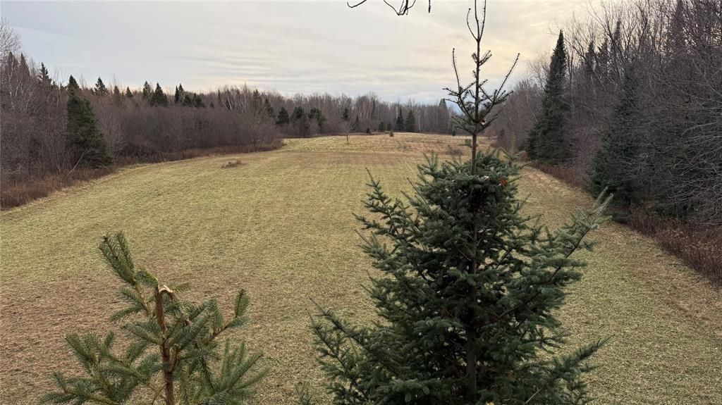 Photo of 80+/- Acres Off South Park ROAD, Butternut, WI 54514 (MLS # 1600524)