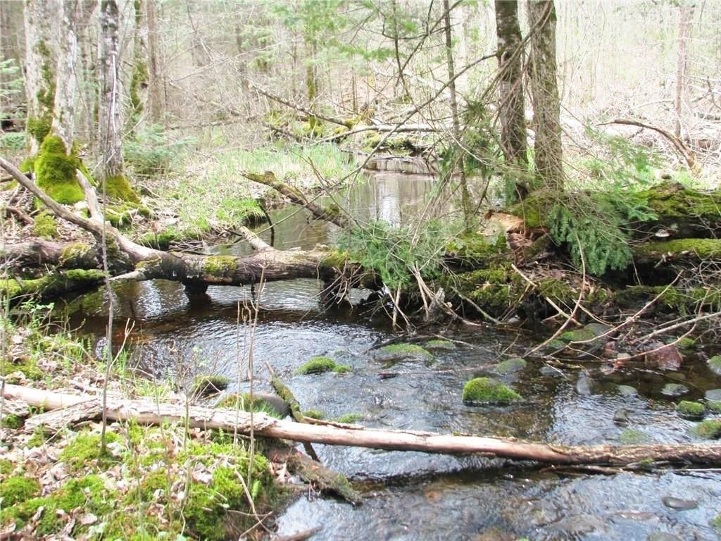 Photo of 2861 29 7/16 AVENUE, Birchwood, WI 54817 (MLS # 1599164)