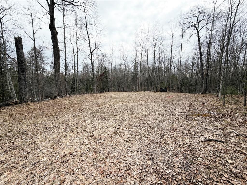 Photo of 2861 29 7/16 AVENUE, Birchwood, WI 54817 (MLS # 1599164)