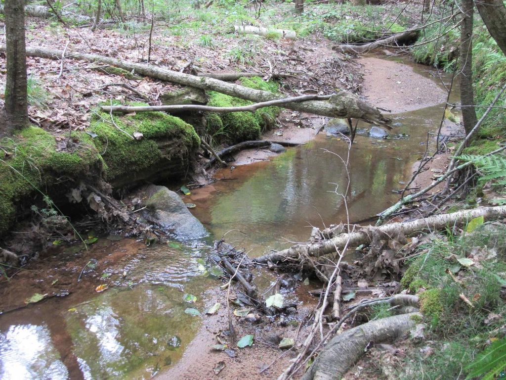 Photo of 36050 County Hwy J, Bayfield, WI 54814 (MLS # 6123824)