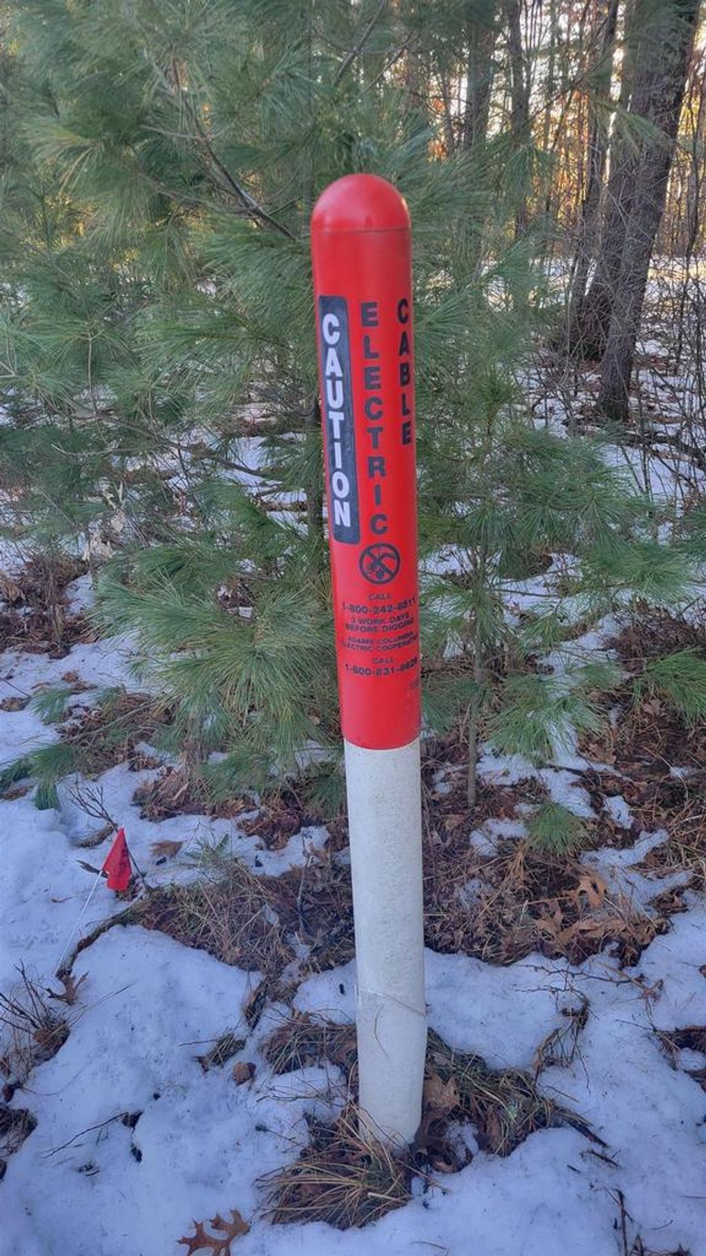 Photo of Lot 15 19th PASS, Arkdale, WI 54613 (MLS # 2014826)