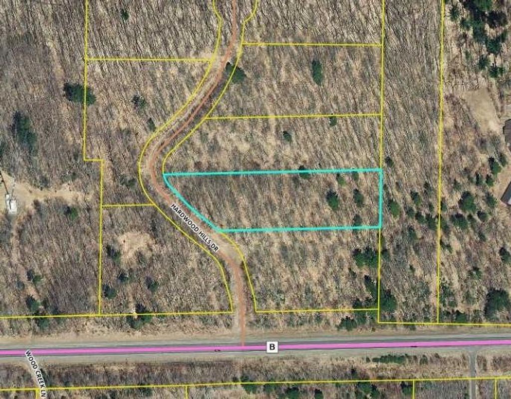 Photo of 10134N Hardwood Hills DRIVE, Hayward, WI 54843 (MLS # 1597950)