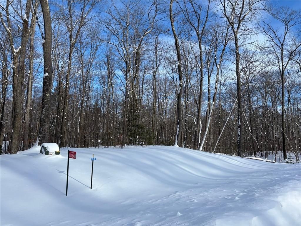 Photo of 10134N Hardwood Hills DRIVE, Hayward, WI 54843 (MLS # 1597950)