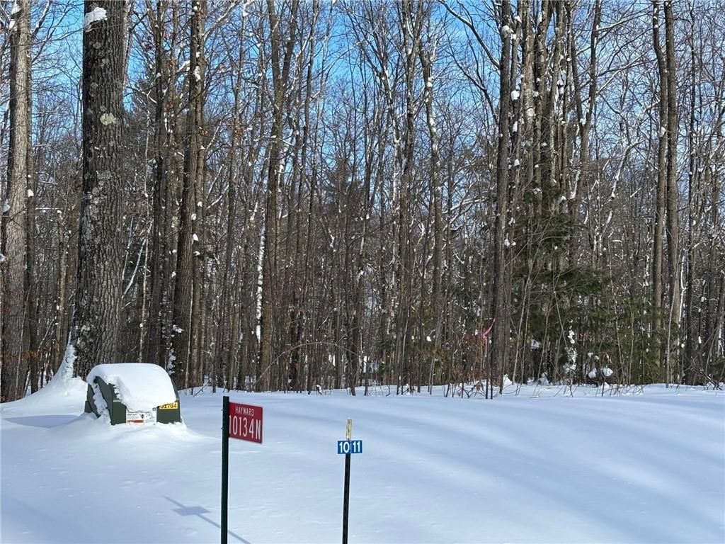 Photo of 10134N Hardwood Hills DRIVE, Hayward, WI 54843 (MLS # 1597950)