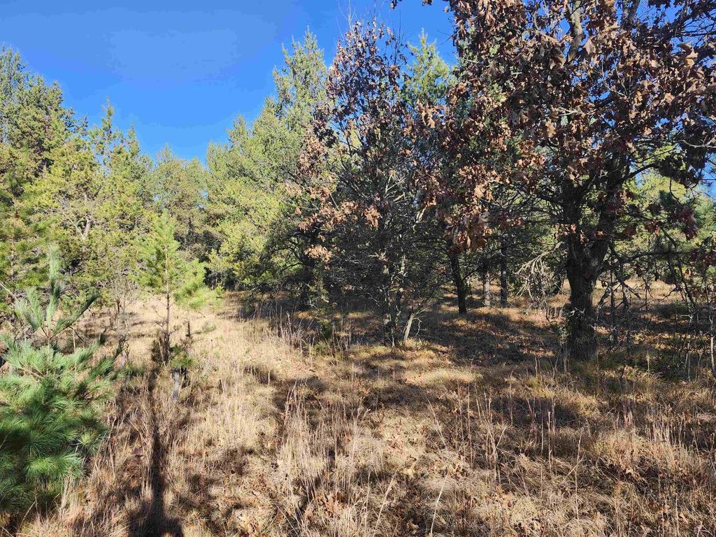 Photo of Czech AVENUE, Coloma, WI 54930 (MLS # 50318102)