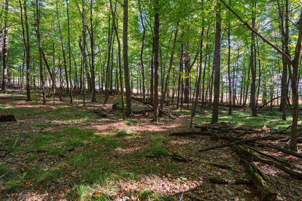 Photo of Lot6 815th AVENUE, Menomonie, WI 54751 (MLS # 1605600)