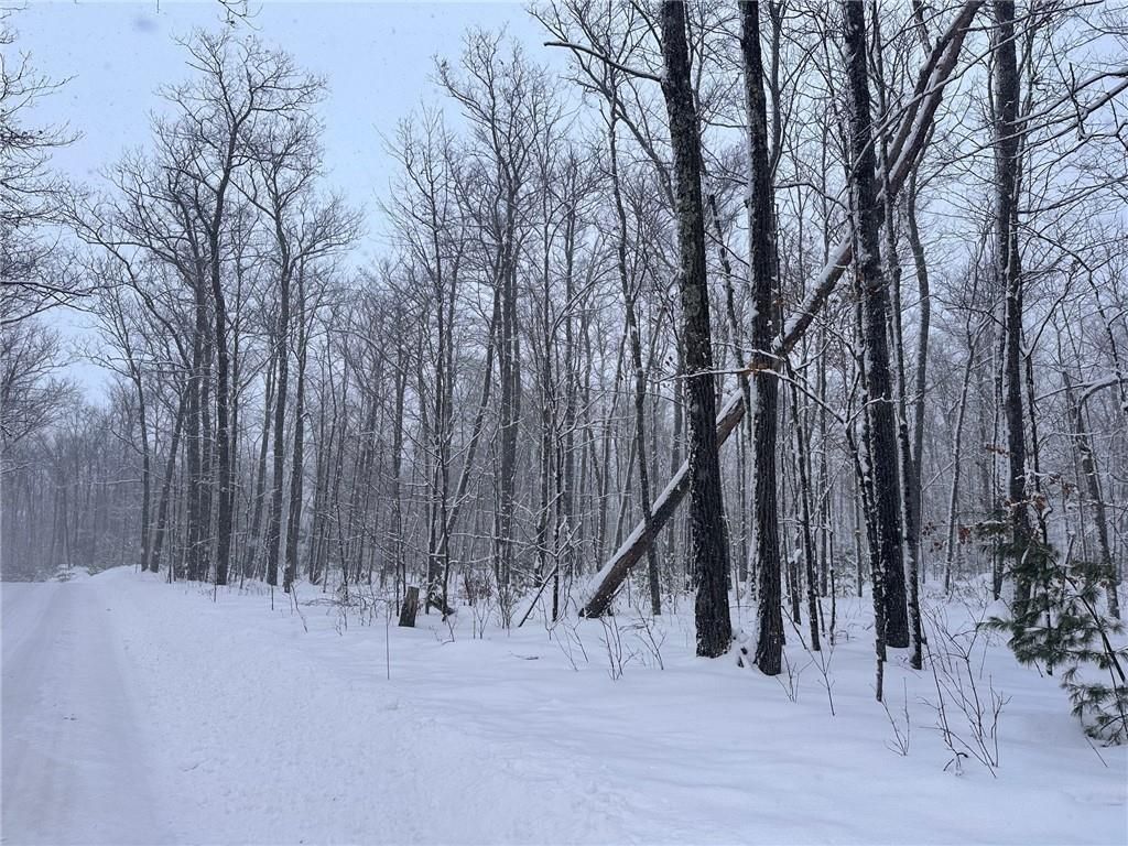 Photo of Lot 4 Scarlet Tanager LANE, Hayward, WI 54843 (MLS # 1597908)