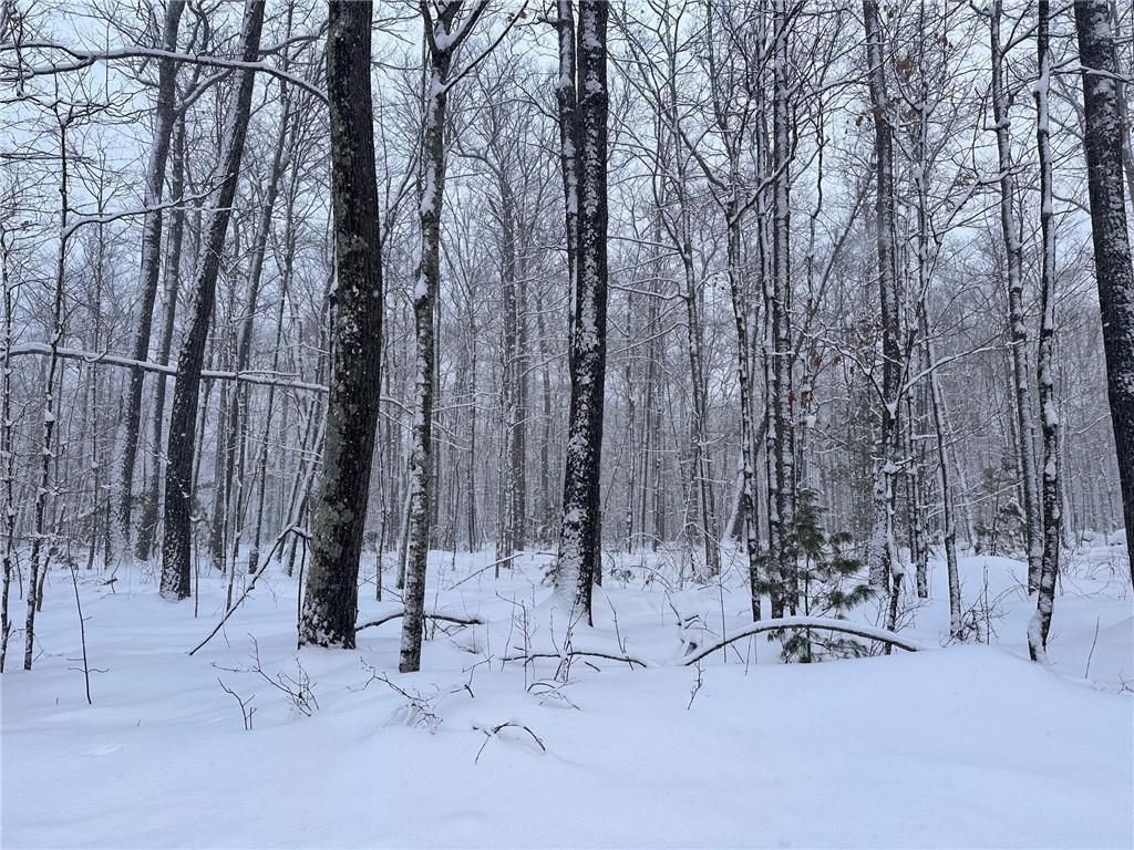 Photo of Lot 4 Scarlet Tanager LANE, Hayward, WI 54843 (MLS # 1597908)