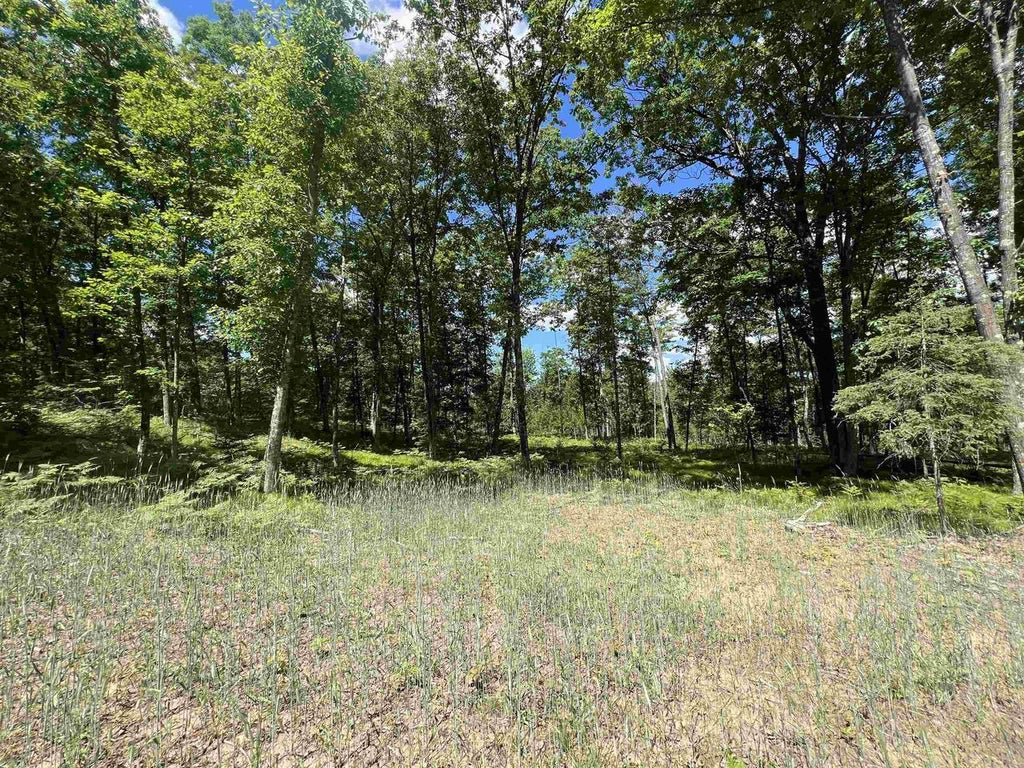 Photo of Rhett LANE, Wausaukee, WI 54177 (MLS # 50327946)