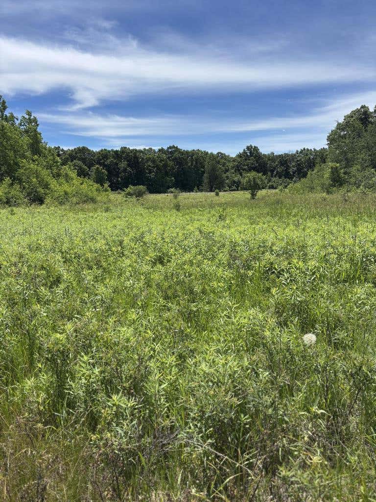 Photo of 0 Grapevine AVENUE, Tomah, WI 54660 (MLS # 1975430)