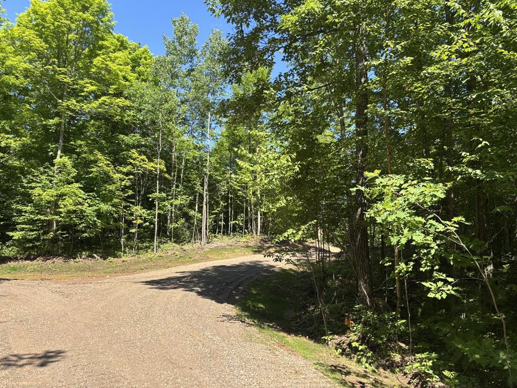 Photo of 11401N Vasa ROAD, Hayward, WI 54843 (MLS # 1603030)