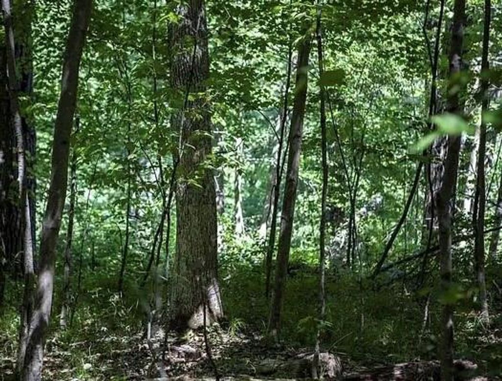 Photo of N 2723 Hwy 253, Sarona, WI 54870 (MLS # 1599550)